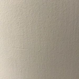 Meet your Posher, Sandy